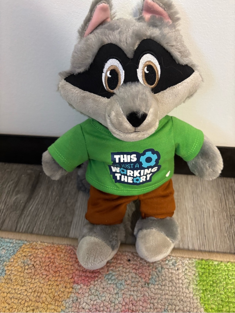 Oliver raccoon from great wolf lodge